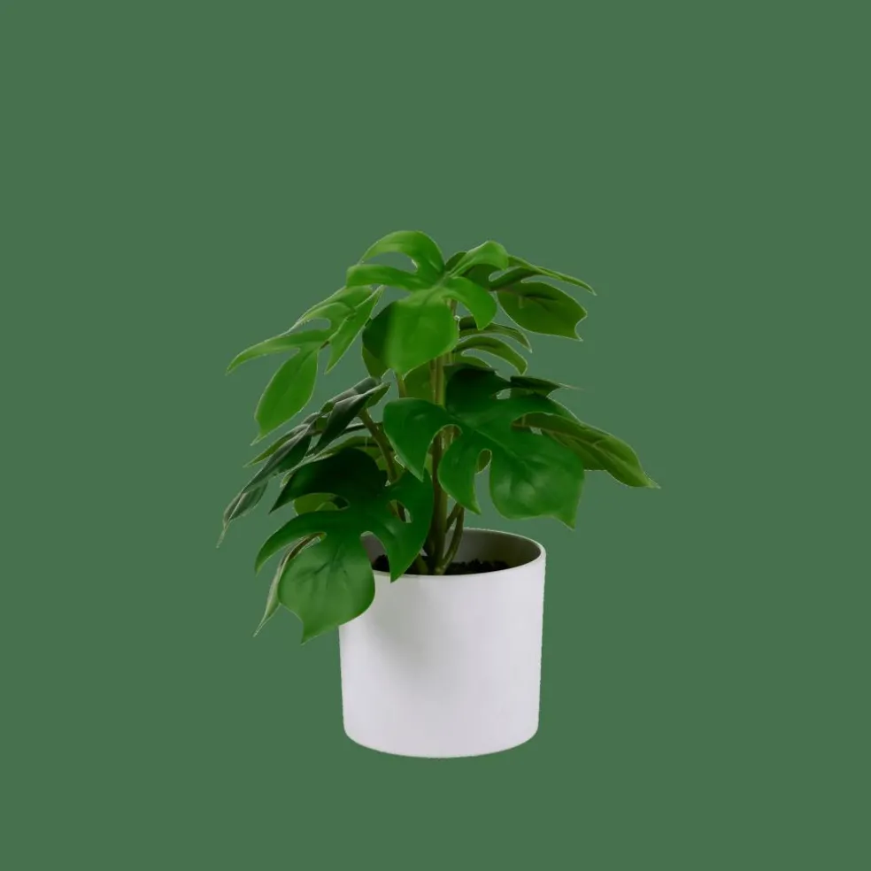 CASA MONSTERA Planta Varios Colores> Plantas Artificiales