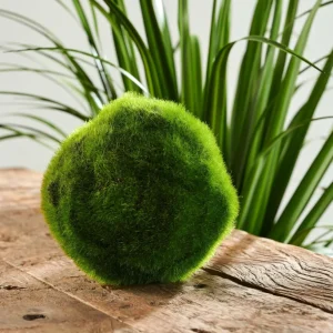 CASA MOSS Bola De Musgo Verde> Plantas Artificiales
