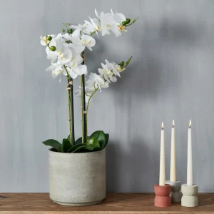 CASA ORCHID Orquídea En Maceta Blanco> Plantas Artificiales