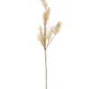 CASA PAMPA Hierba De Las Pampas Blanco> Ramos Artificiales | Otoño