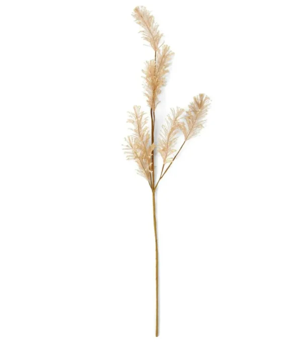 CASA PAMPA Hierba De Las Pampas Blanco> Ramos Artificiales | Otoño