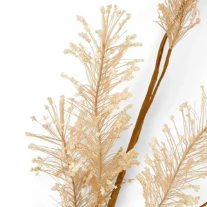 CASA PAMPA Hierba De Las Pampas Blanco> Ramos Artificiales | Otoño