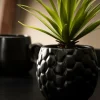 CASA PINA Piña En Tarro Negro> Plantas Artificiales