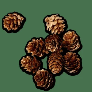CASA PINECONE Decoración Para Esparcir Dorado> Figuras Decorativas