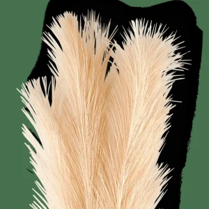 CASA PLUME Plumas Decorativas Crema> Ramos Artificiales