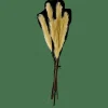 CASA PLUME Plumas Decorativas Verde> Ramos Artificiales