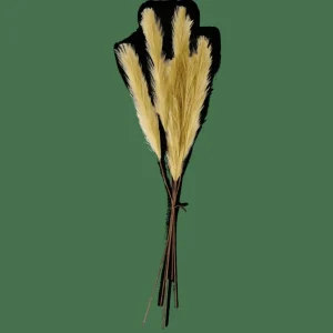 CASA PLUME Plumas Decorativas Verde> Ramos Artificiales