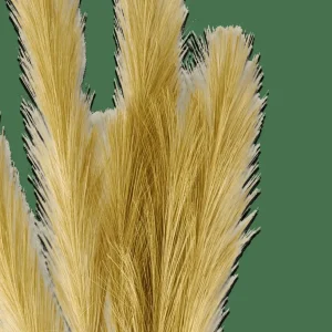 CASA PLUME Plumas Decorativas Verde> Ramos Artificiales