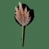 CASA PLUME Tallo De Pluma Naranja> Ramos Artificiales
