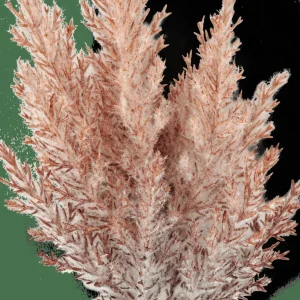 CASA PLUME Tallo De Pluma Naranja> Ramos Artificiales
