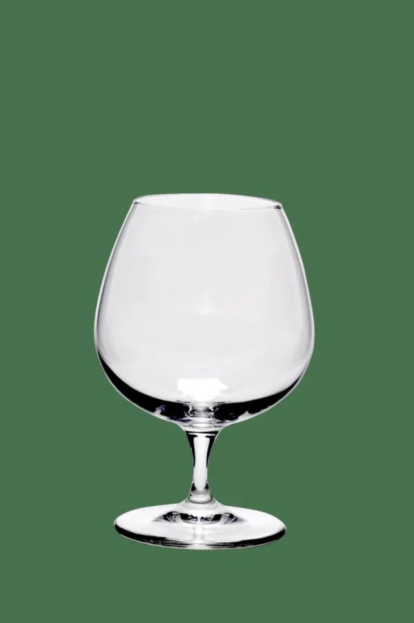CASA PREMIUM Copa De Coñac 64 CL> Copas De Cóctel