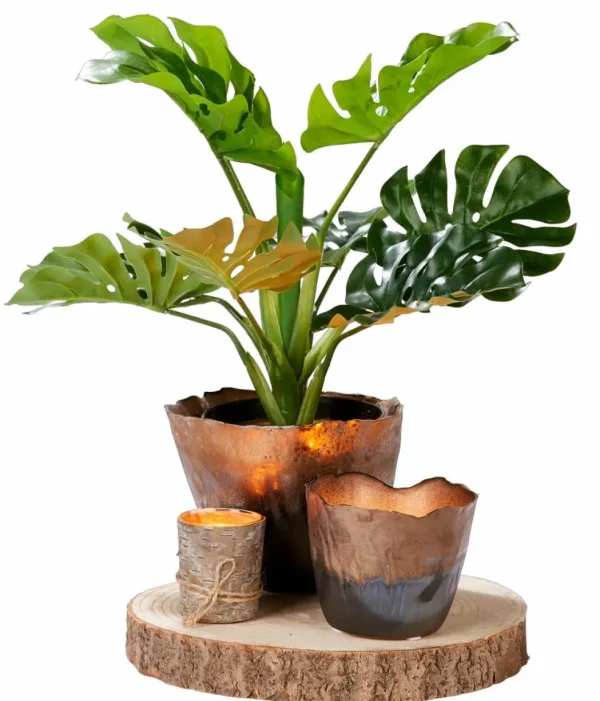 CASA PURE RUSTIC Vela Beis> Velas