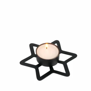 CASA STAR Decoración Seca> Flores Artificiales