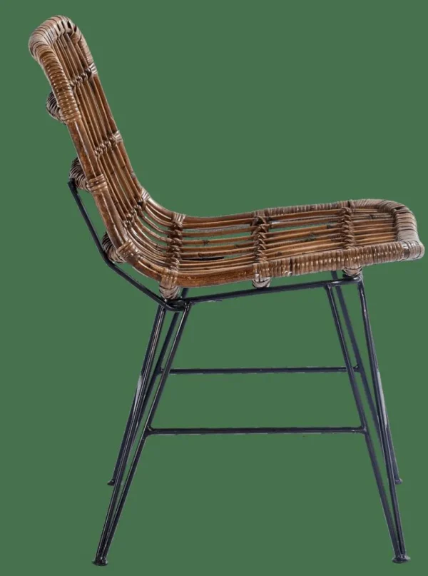 CASA SUMATRA Silla De Comedor Negro, Marrón> Sillas De Comedor