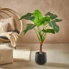 CASA TARO Planta Artificial ARO Verde> Plantas Artificiales