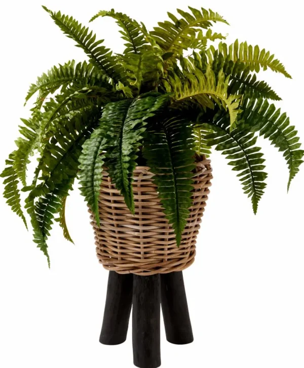 CASA TEAK Soporte Natural> Soportes Para Plantas