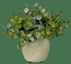 CASA TERRA Planta En Maceta Blanco, Verde> Plantas Artificiales