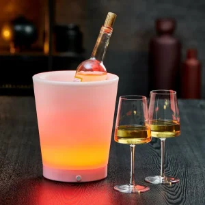 CASA VACUVIN Funda Isotérmica Dorado> Accesorios Vino