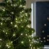 CASA VELU Guirnalda 360 Leds> Guirnaldas De Luz