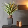 CASA VERA Planta Aloë Vera Verde> Plantas Artificiales