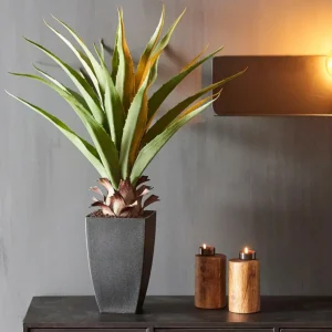 CASA VERA Planta Aloë Vera Verde> Plantas Artificiales