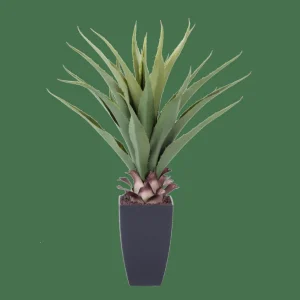 CASA VERA Planta Aloë Vera Verde> Plantas Artificiales