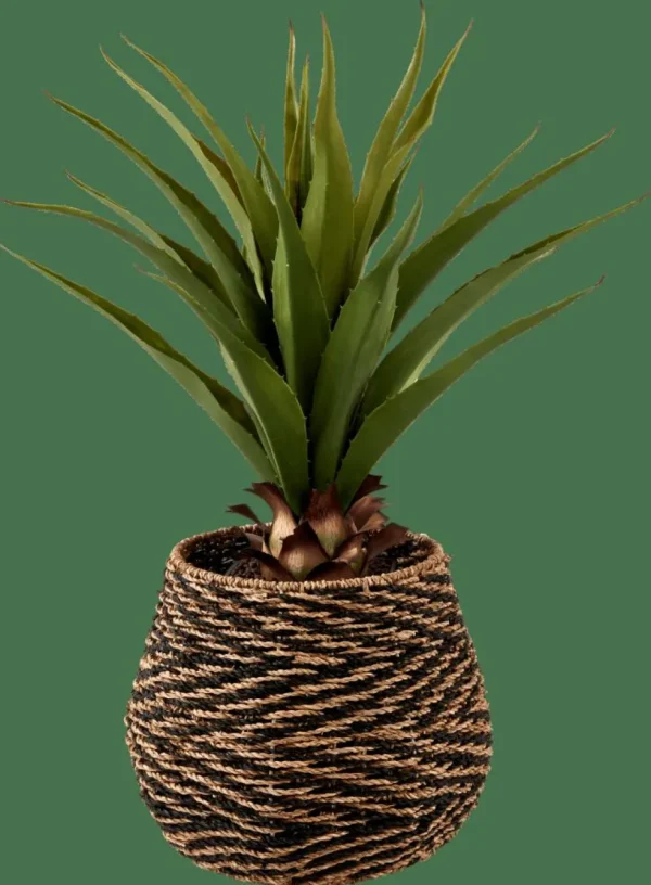 CASA VERA Planta Aloë Vera Verde> Plantas Artificiales