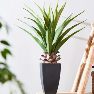 CASA VERA Planta Aloë Vera Verde> Plantas Artificiales