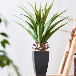 CASA VERA Planta Crasa En Un Palillo Verde> Ramos Artificiales