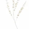 CASA WHITE Cortina De Flecos Blanco> Halloween | Cortinas